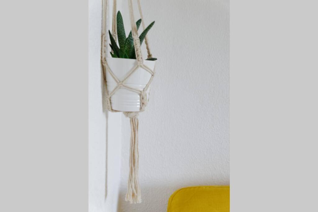 Apartament St-Cyr - Studio Avec Balcon, Vue Mer Et Proche Plage Saint-Cyr-sur-Mer Zewnętrze zdjęcie